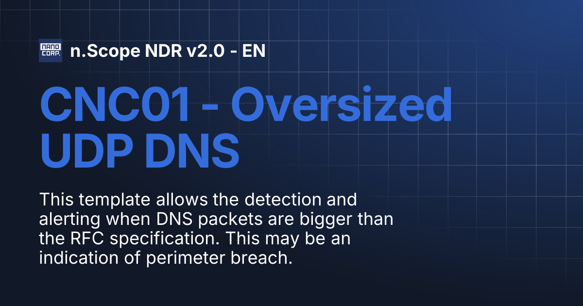 CNC01 - Oversized UDP DNS | n.Scope NDR v2.0 - EN